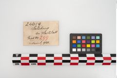 Etikett zu Bronzemehrkopfnadel (NHMW-PRAE-024619)
